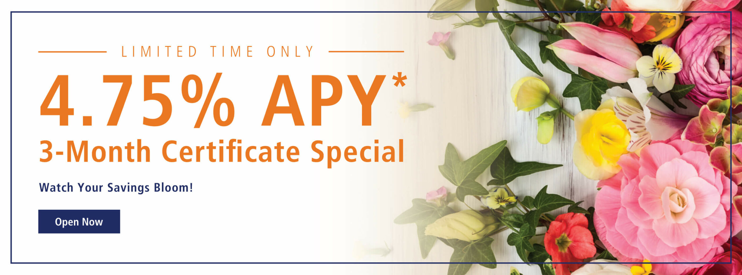 4.75% APY 3-Month Certificate Special. Request now!